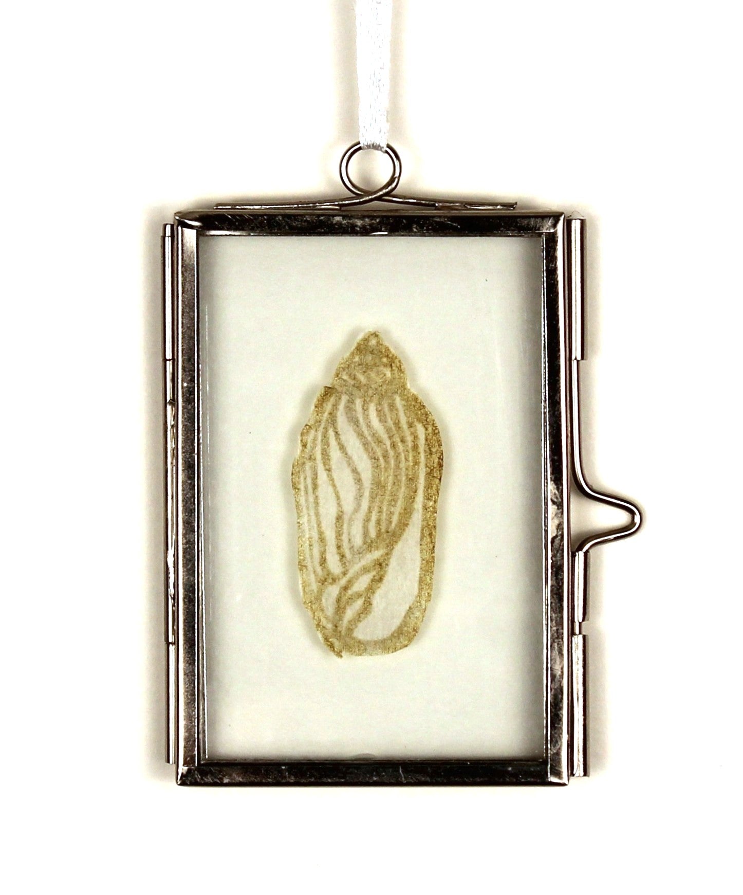 Glass Frame Relief Print Art (Mini)-Elliot's Volute Shell Masterpiece