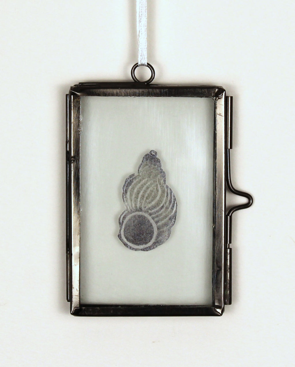 Glass Frame Relief Print Art (Mini)-Noble Wentletrap Shell Shining