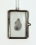 Glass Frame Relief Print Art (Mini)-Noble Wentletrap Shell Shining