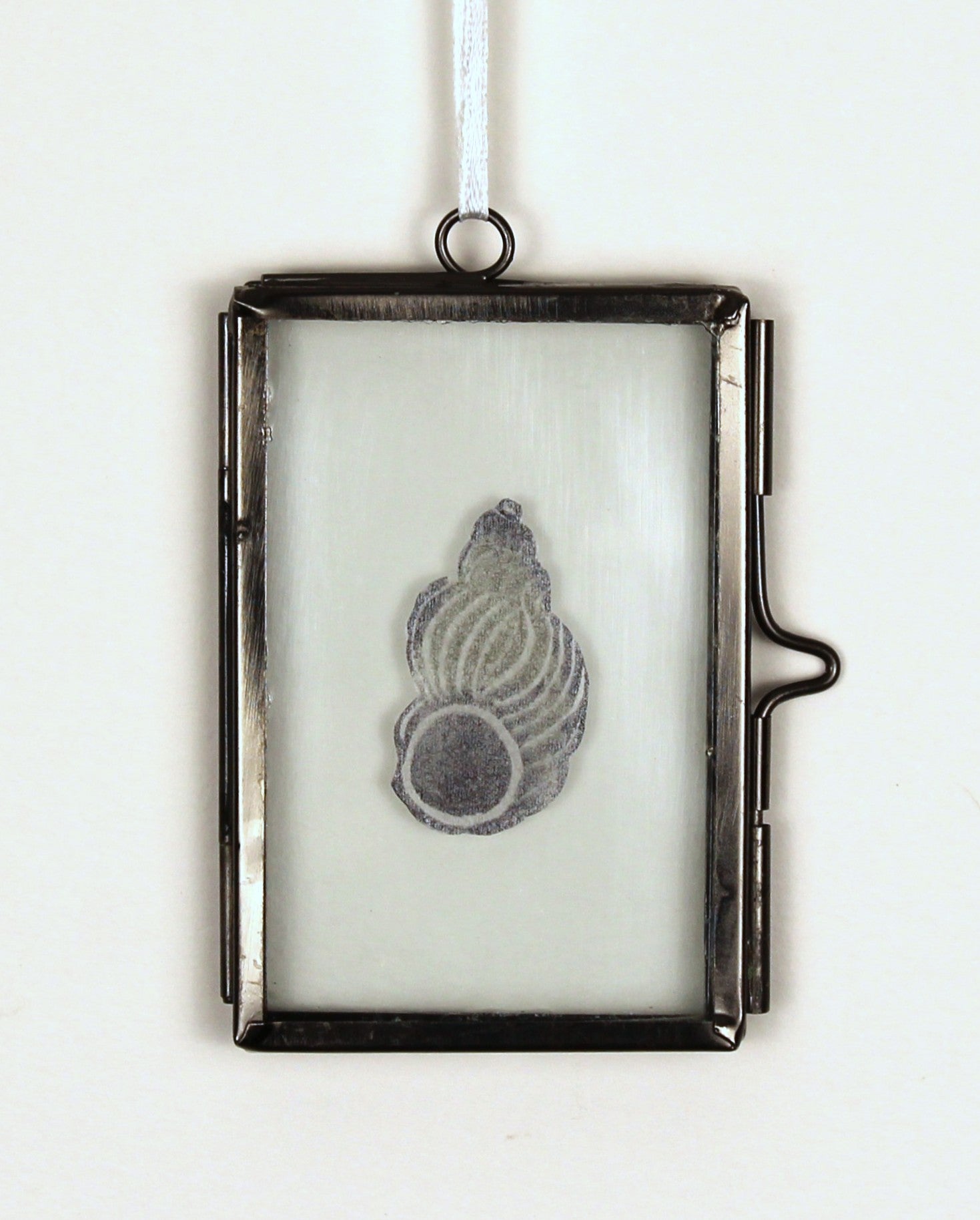 Glass Frame Relief Print Art (Mini)-Noble Wentletrap Shell Shining