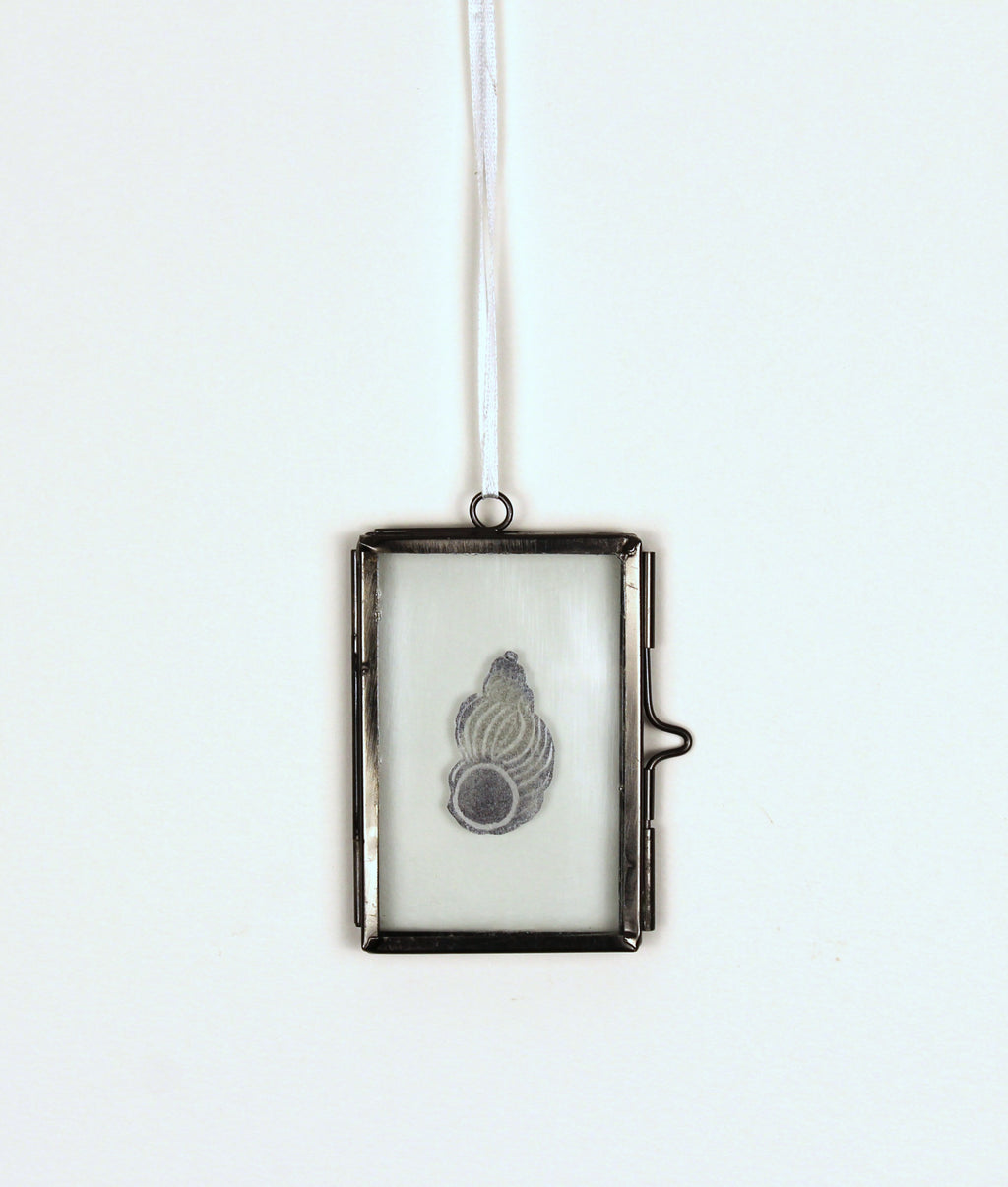 Glass Frame Relief Print Art (Mini)-Noble Wentletrap Shell Shining