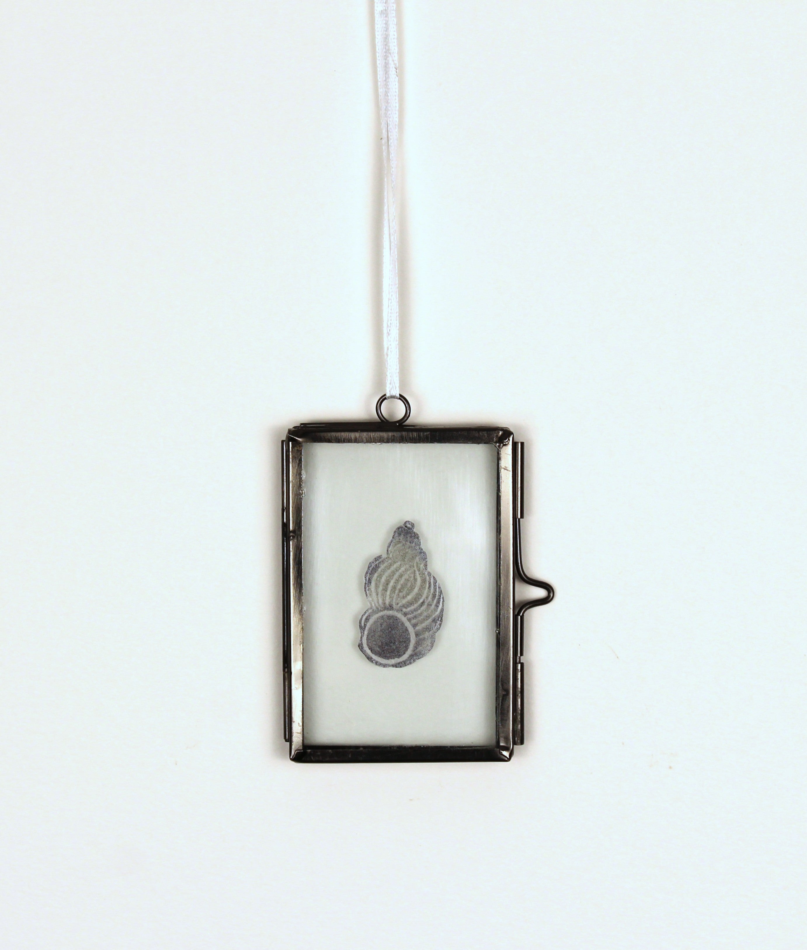 Glass Frame Relief Print Art (Mini)-Noble Wentletrap Shell Shining