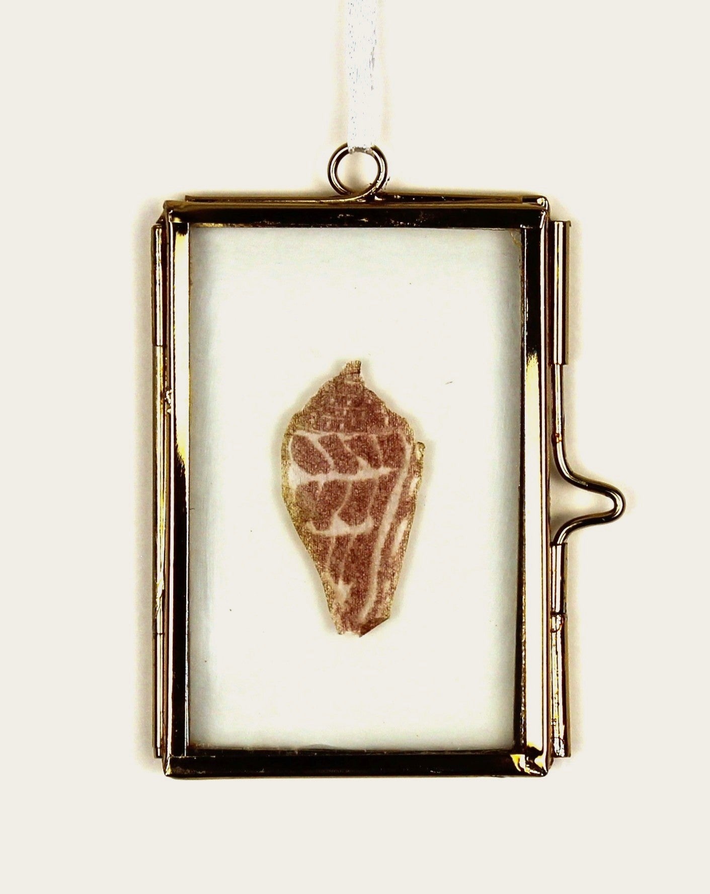 Glass Frame Relief Print Art (Mini)- Hebrew Cone Shell Beauty