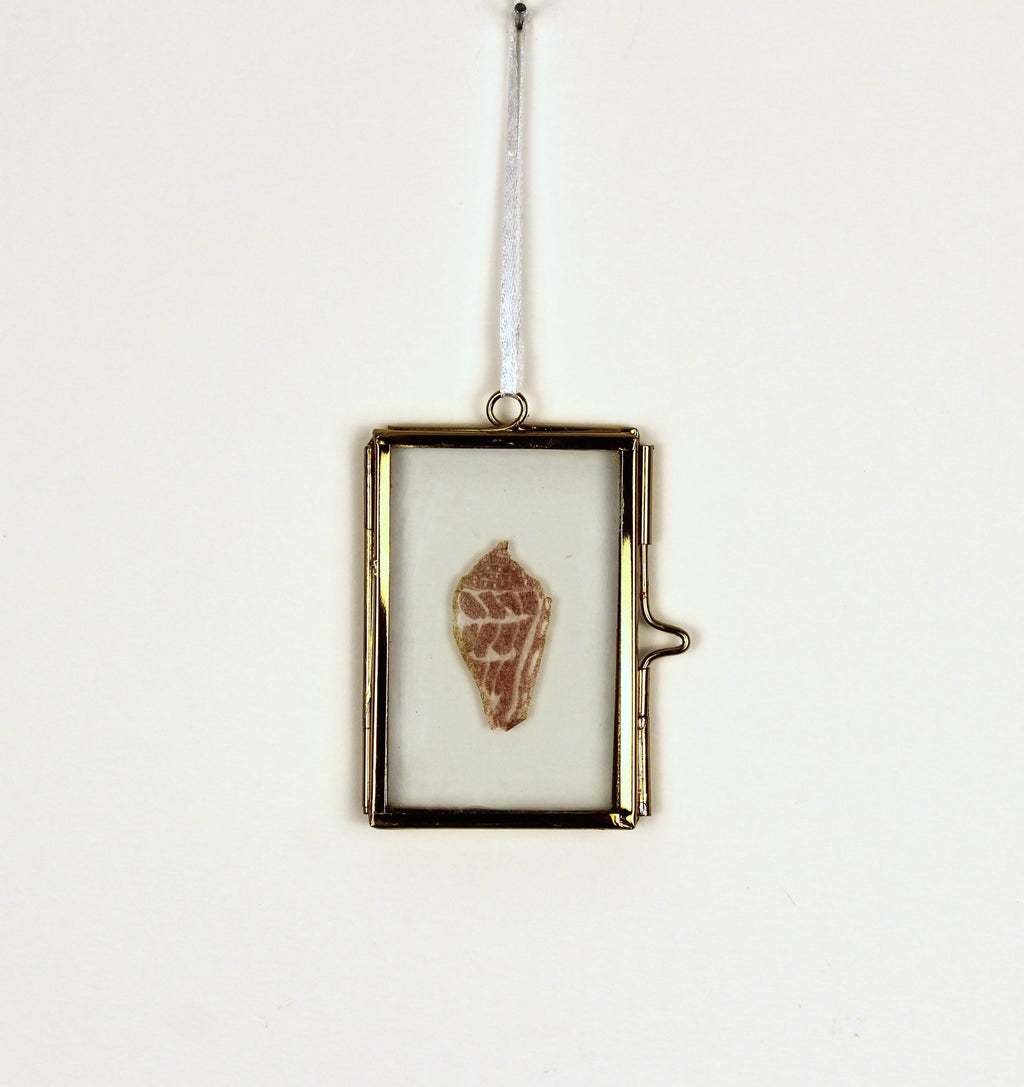 Glass Frame Relief Print Art (Mini)- Hebrew Cone Shell Beauty