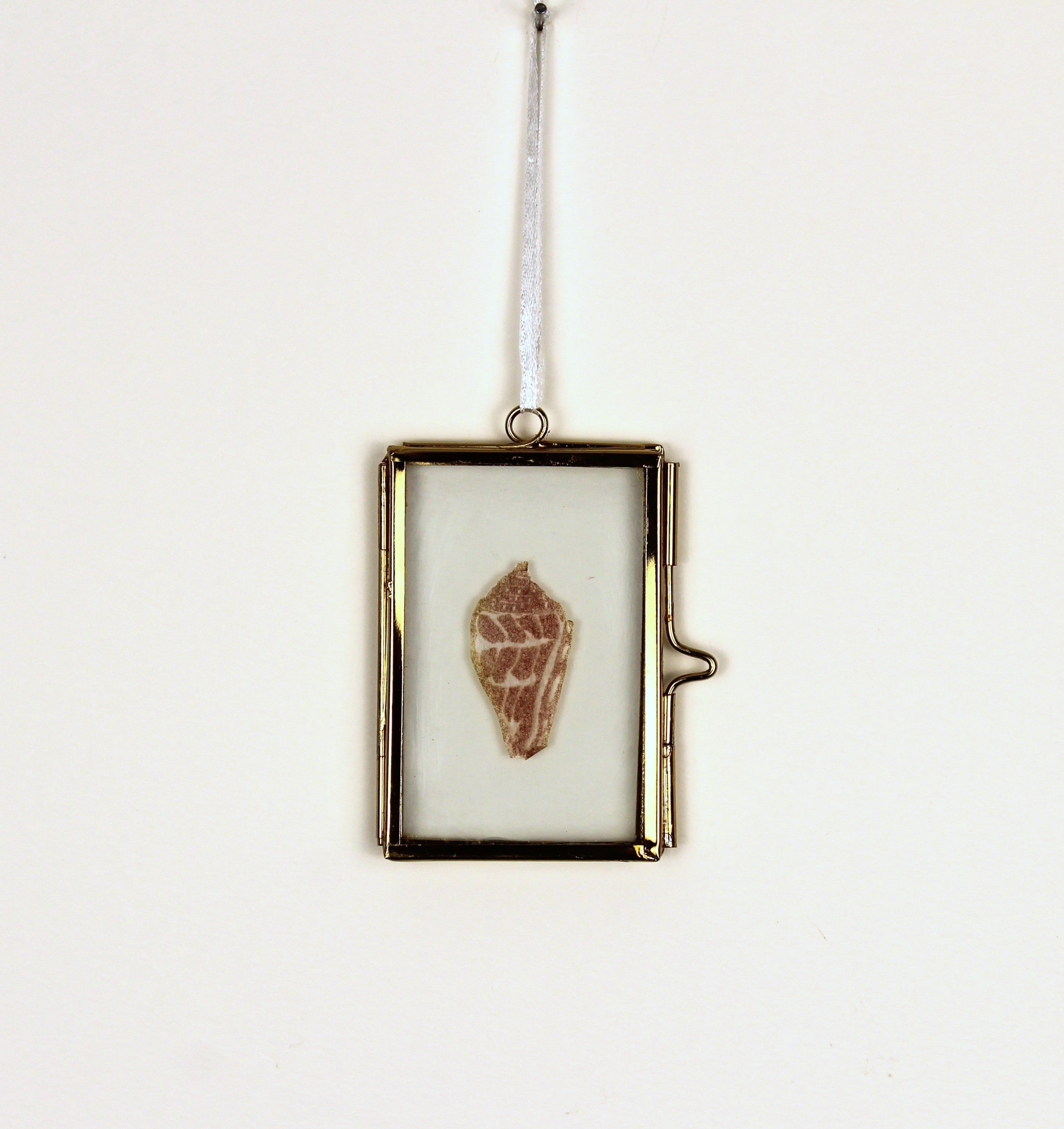 Glass Frame Relief Print Art (Mini)- Hebrew Cone Shell Beauty