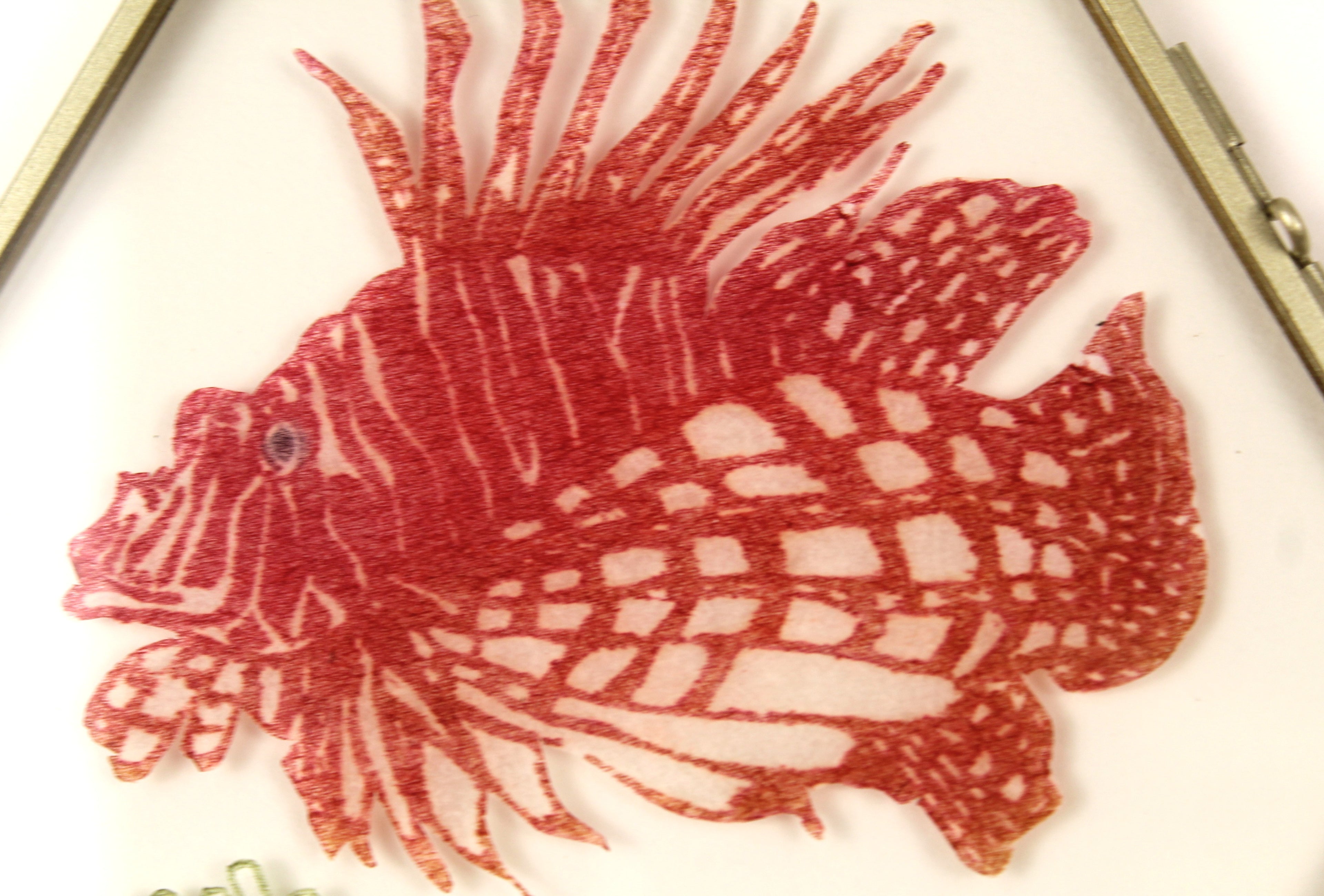 Glass Frame Relief Print Art (Medium)-Loud and Proud