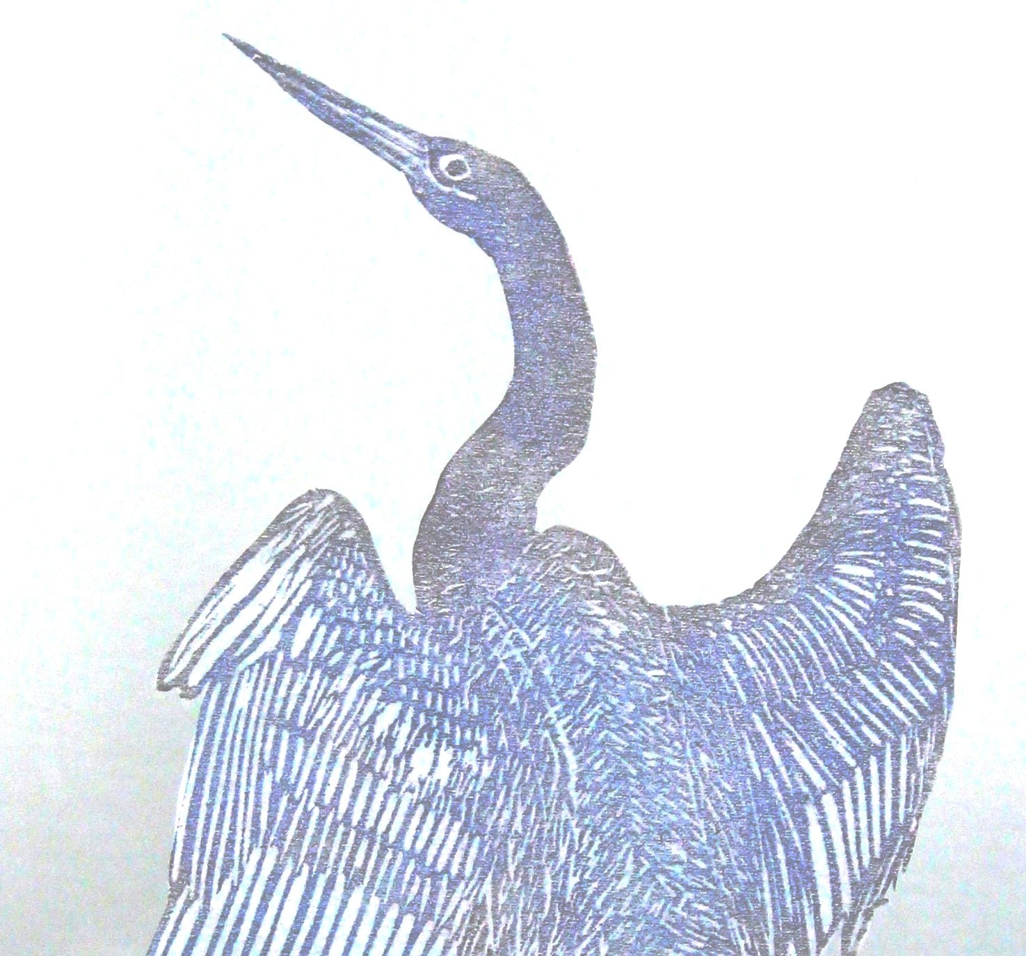 Glass Frame Relief Print Art (Large Standing Frame)-Cormorant Drying Time